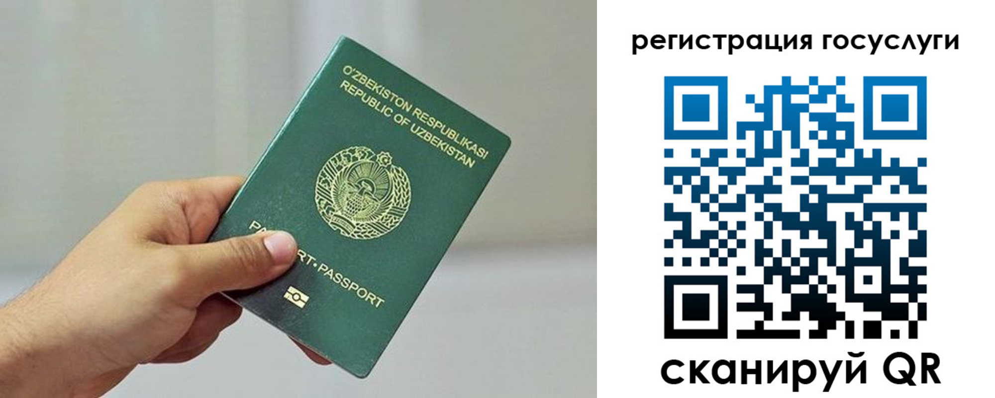 прописка гарантия в Саранске